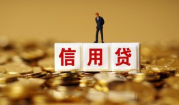 成都线下哪有个人借贷-成都线下小额贷款公司-成都线下私借空放免费上门